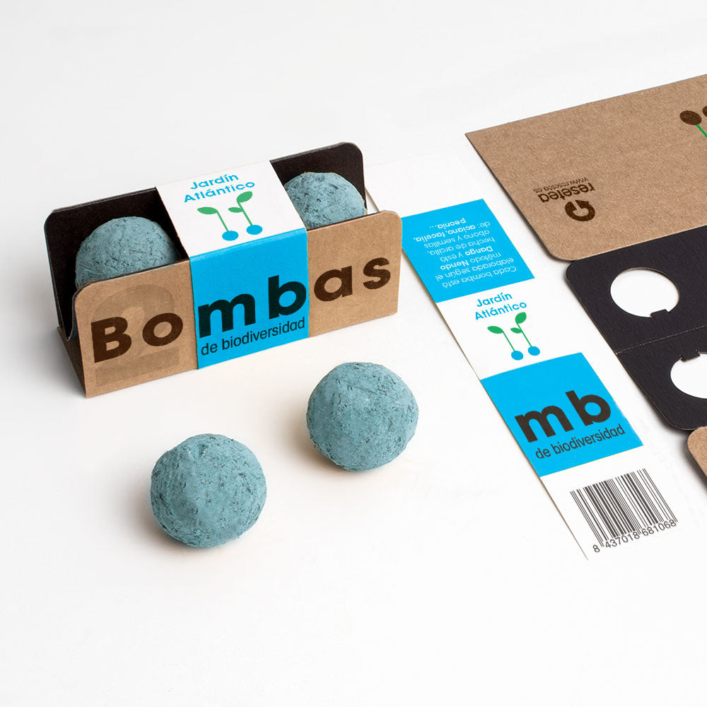 Bombas de Biodiversidad – Jardín Mediterráneo, Flores Silvestres para Polinizadores - Resetea_1