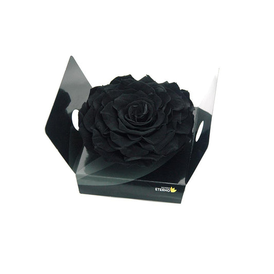 Mundo Eterno Rosmelia Preservada Negra 12cm_0