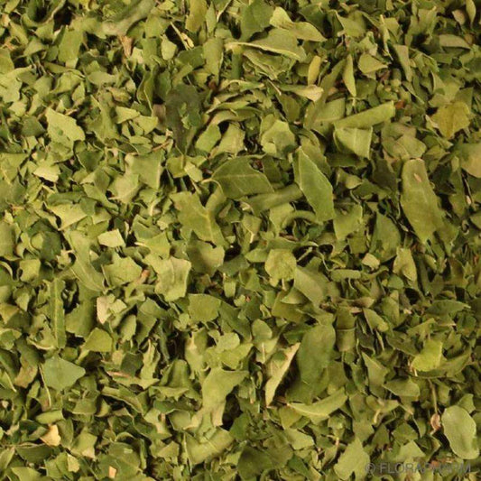 Hojas De Moringa Orgánica Granel 0,125 Kg_0