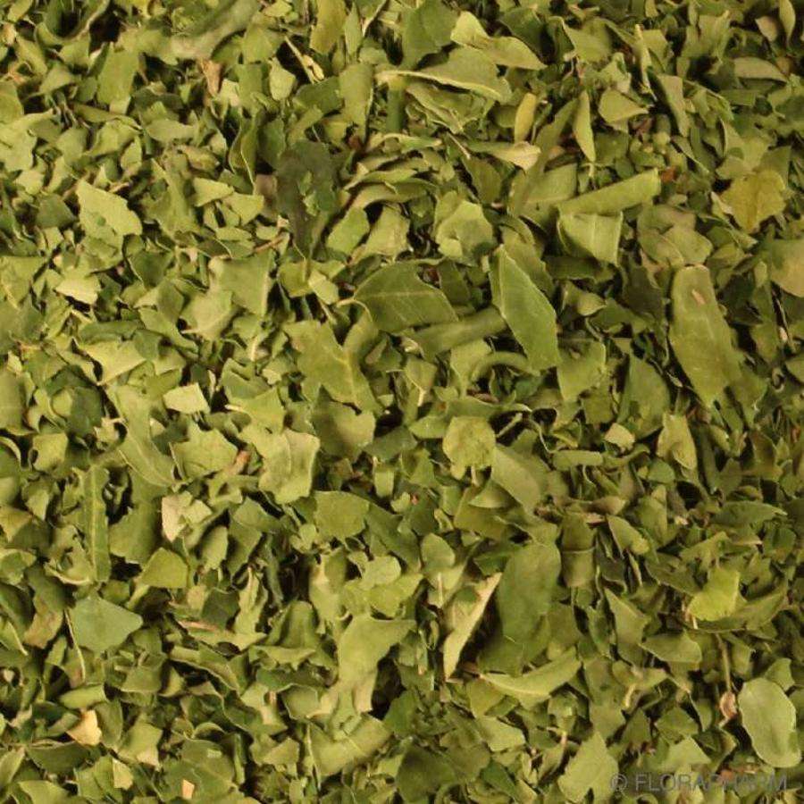 Hojas De Moringa Orgánica Granel 0,5 Kg_0