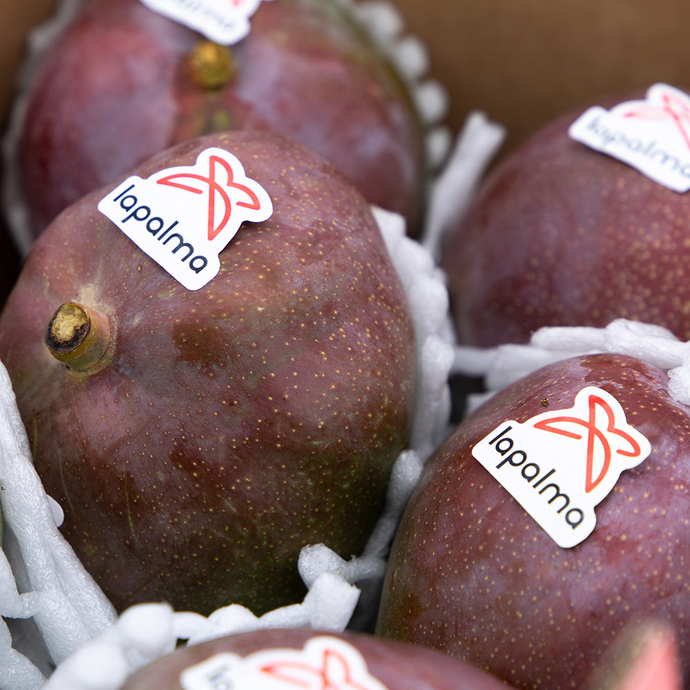 Mango Kent 2kg_4