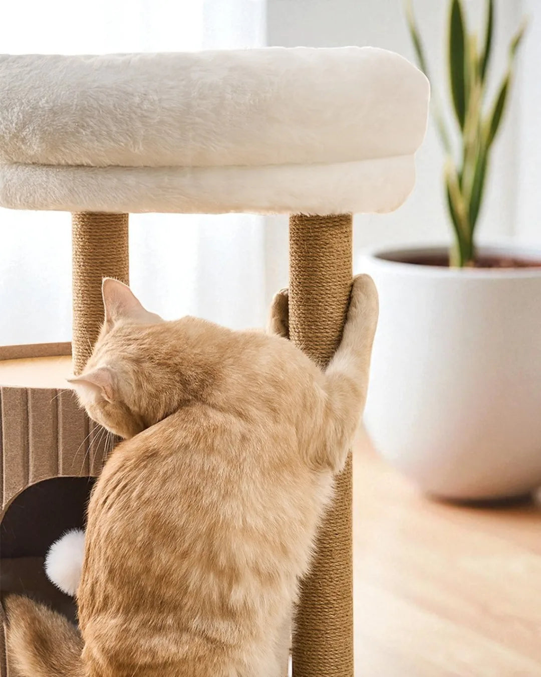 Árbol Para Gatos Horizonte, 3 Alturas, Madera Y Sisal_4