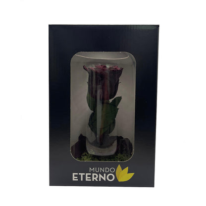 Mundo Eterno Rosa En Cúpula Burdeos 12x20cm