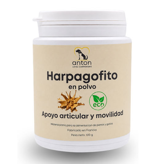Harpagofito ECO para perros y gatos – Confort articular – 100 g_0