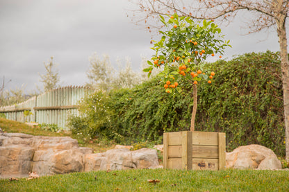 Macetero Elche Cuadrado De Madera Tratada Autoclave Riesgo Iv De 60 X 60 X 52 Cm 105l Para Exterior..