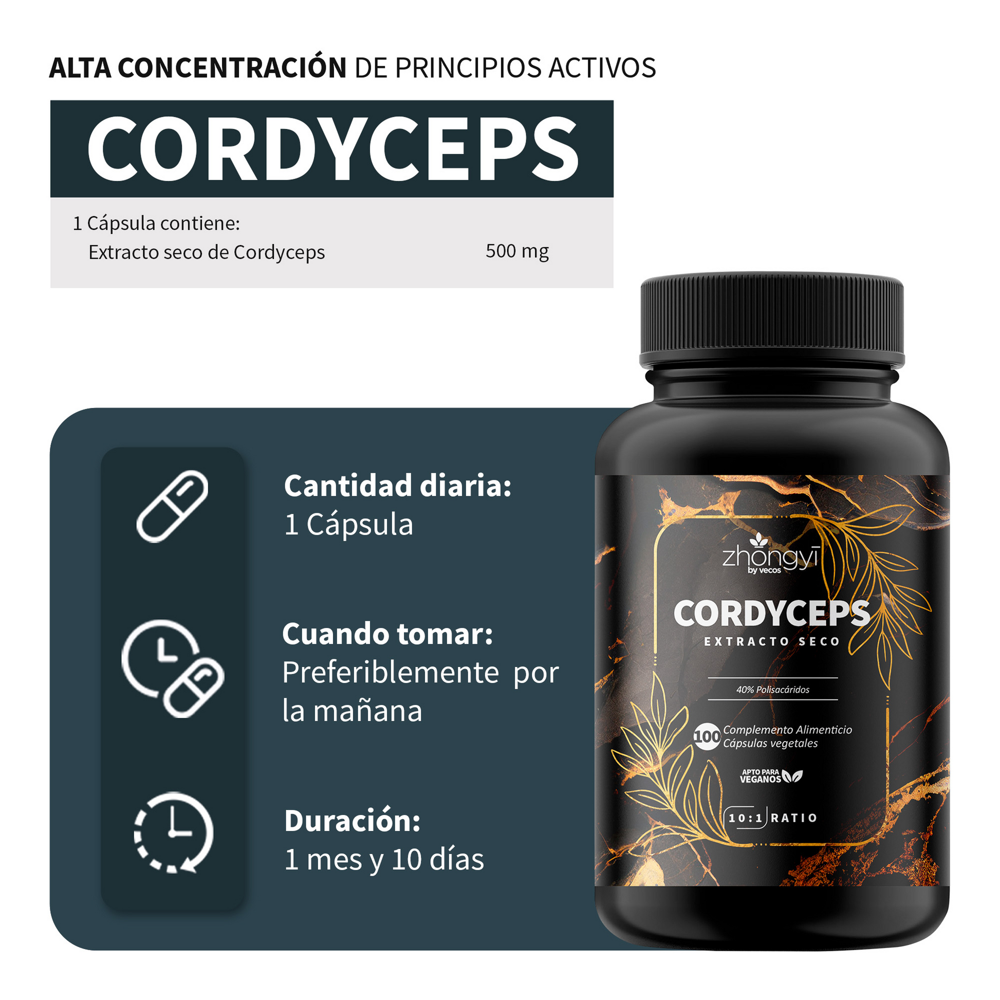 Cordyceps Sinensis 10:1 Vecos 100 Cápsulas | Resistencia Y Rendimiento | 40% Polisacáridos_2