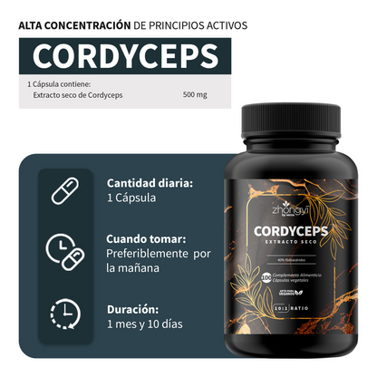 Cordyceps Sinensis 10:1 Vecos 100 Cápsulas | Resistencia Y Rendimiento | 40% Polisacáridos_2
