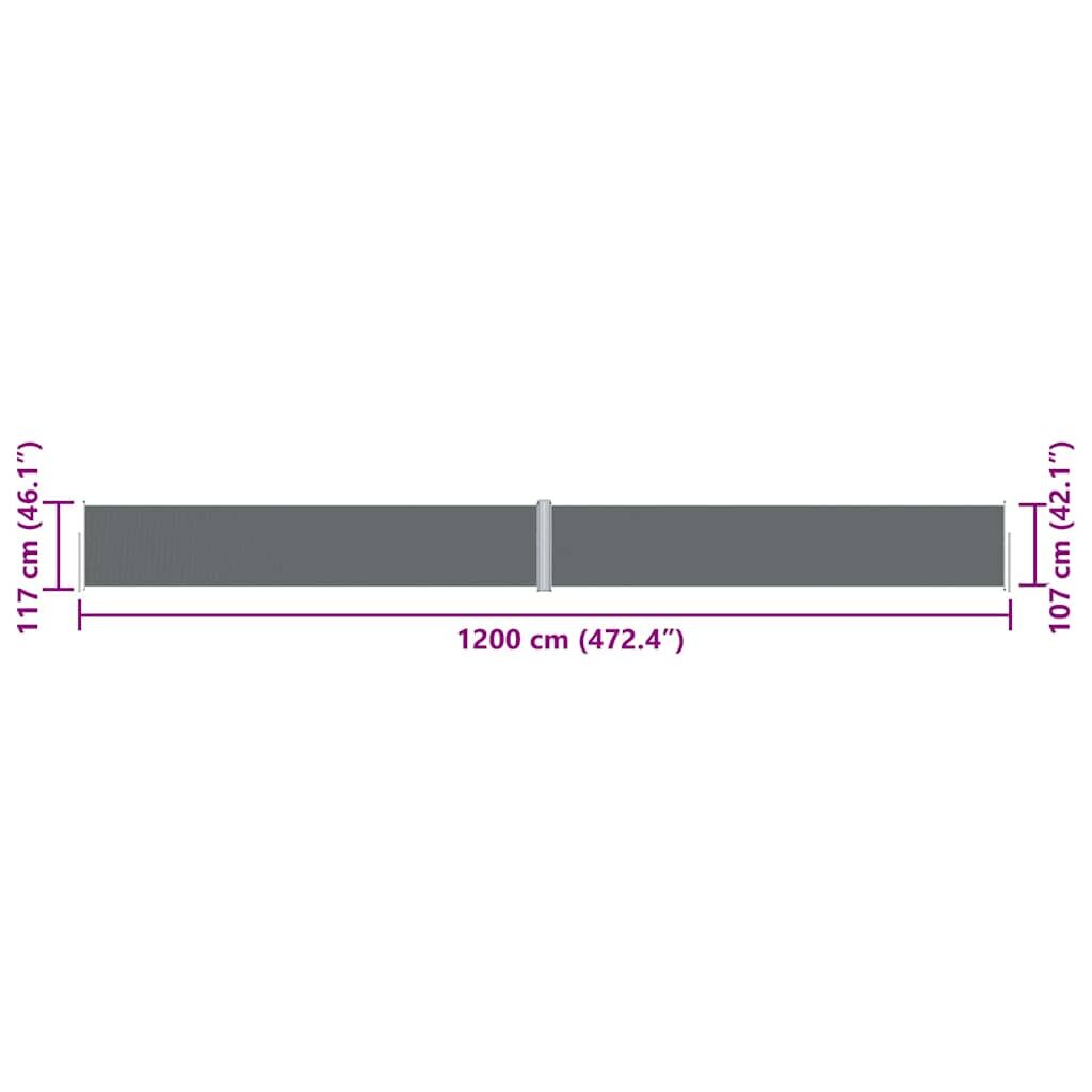 Vidaxl Toldo Lateral Retráctil Antracita 117x1200 Cm_2