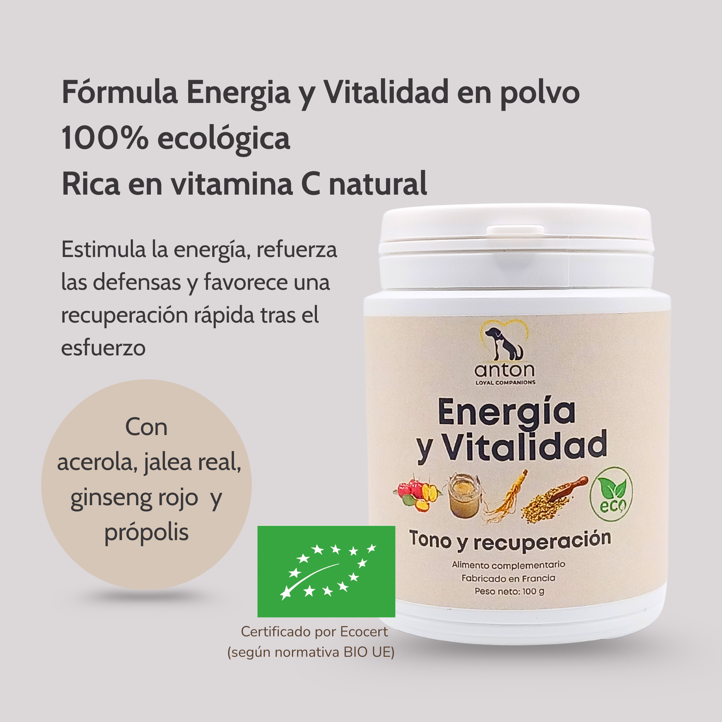 Lote “ritual Vitalidad Y Cuidado Diario” – Especial Perros Activos_2