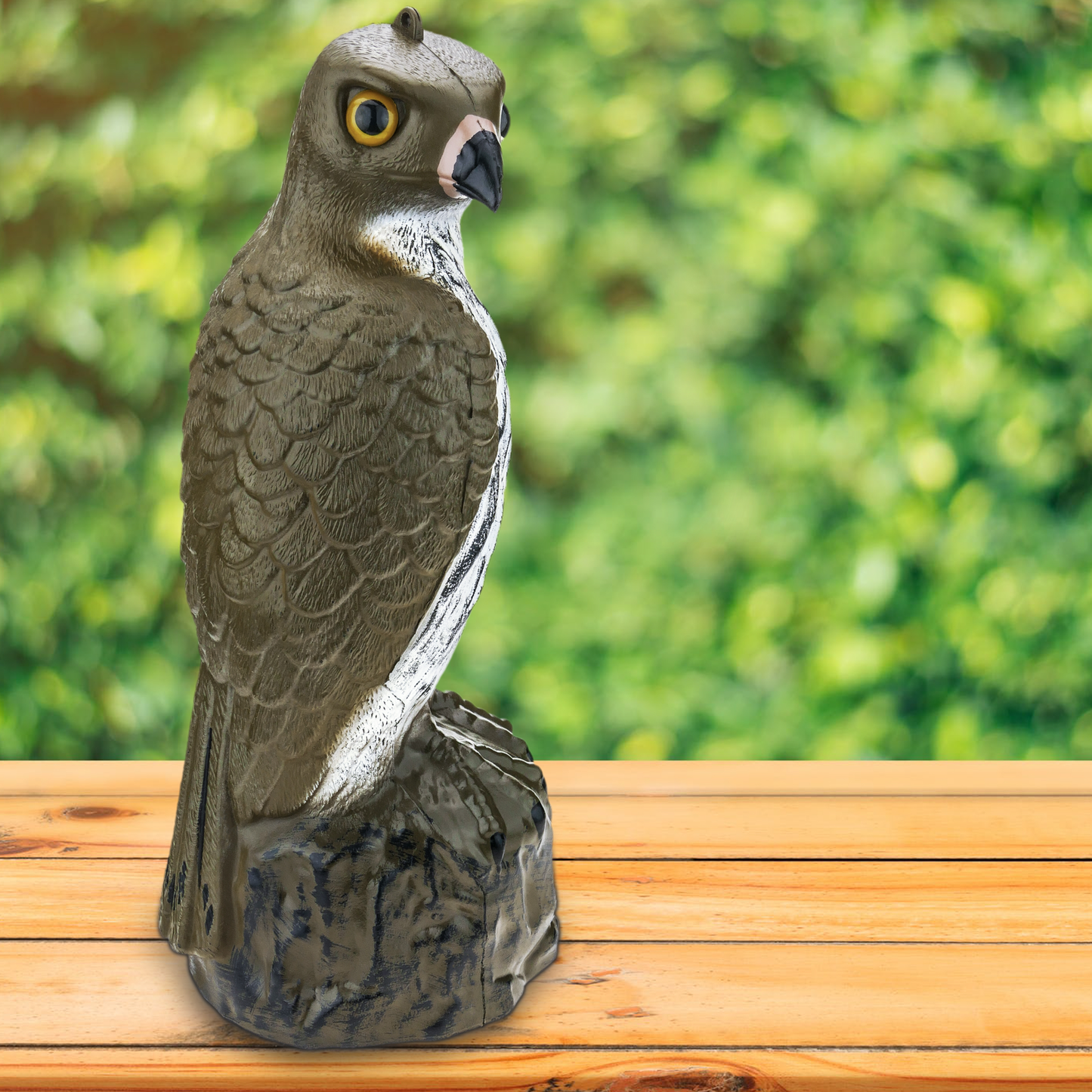 Ahuyentador De Aves Tipo Estatua Halcón Con Ojos Reflectantes 40cm_2