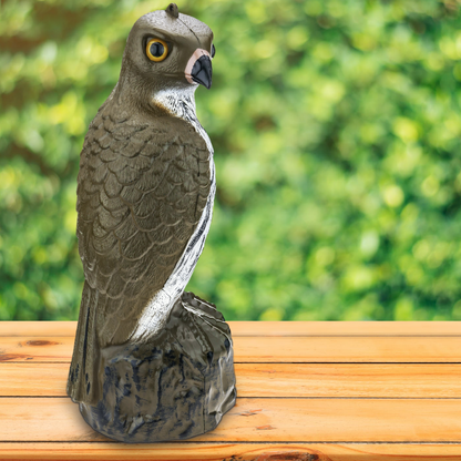 Ahuyentador De Aves Tipo Estatua Halcón Con Ojos Reflectantes 40cm_2