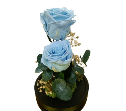 Cúpula 2 Rosas Azul Claro 12x20cm