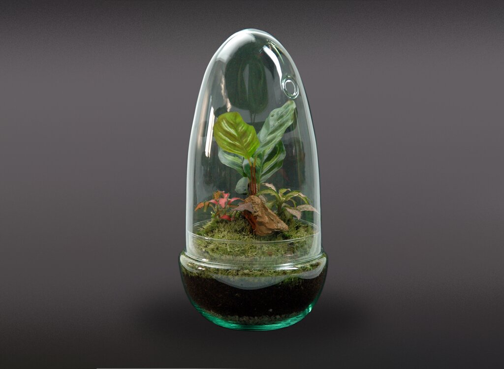 Nanogarden Terrario Egg Makofitt 13x25 Cm_0