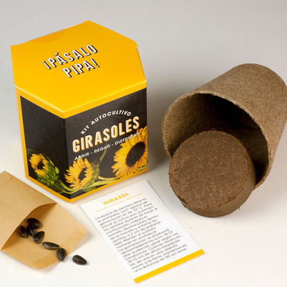 Kit Autocultivo Girasoles | Cultiva Flores Grandes Y Luminosas En Casa_1