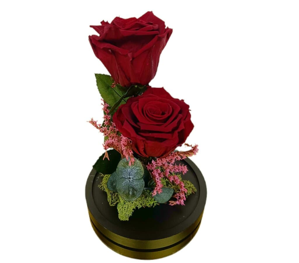 Cúpula 2 Rosas Burdeos 12x20cm