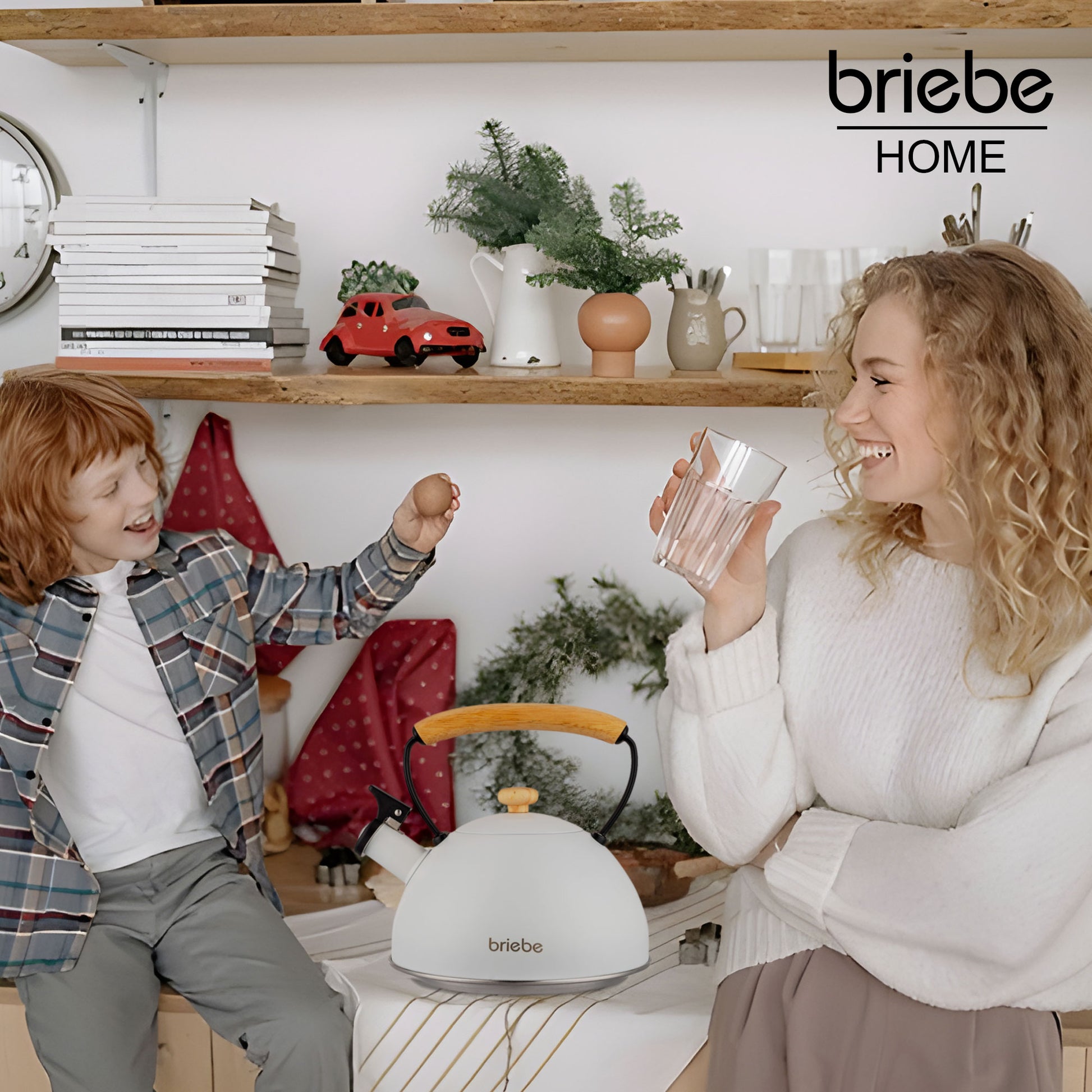 Tetera Con Silbato, Hervidor De Agua 2,5l, Inducción, Acero Inox, Vintage, Mango Madera, Briebe, Nordic, Blanco