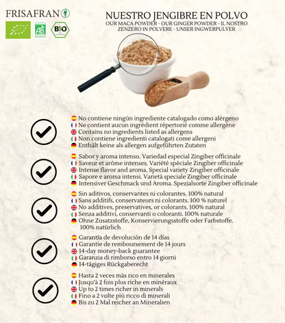 Jengibre En Polvo Ecológico | Calidad | Frisafran 1 Kg_5