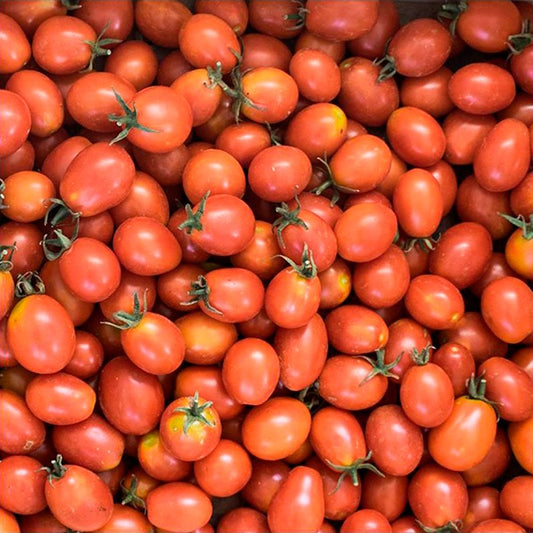 Semillas Tomate Principe Borghese Ecológicas Biodinámicas Demeter_0