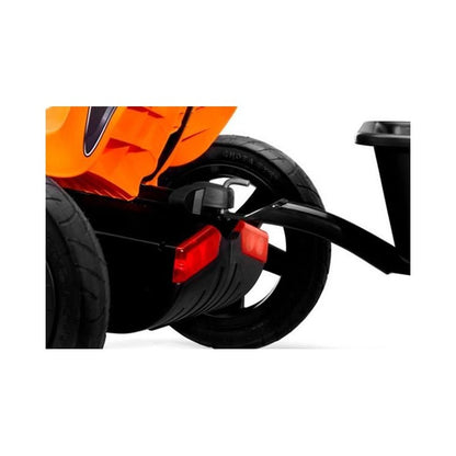 Remolque Berg Trailer L (buddy).