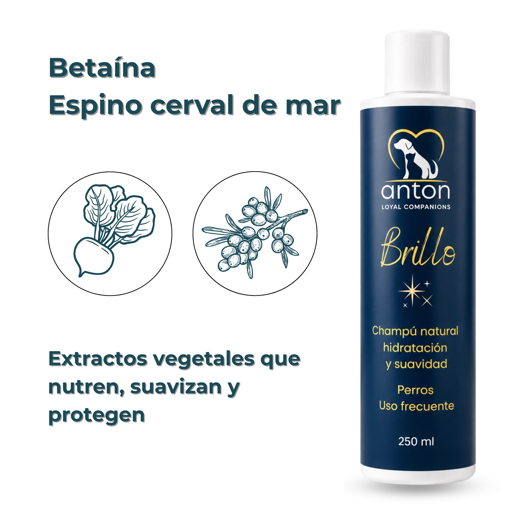 Champú natural para el cuidado del pelaje de perros – 250 ml_3