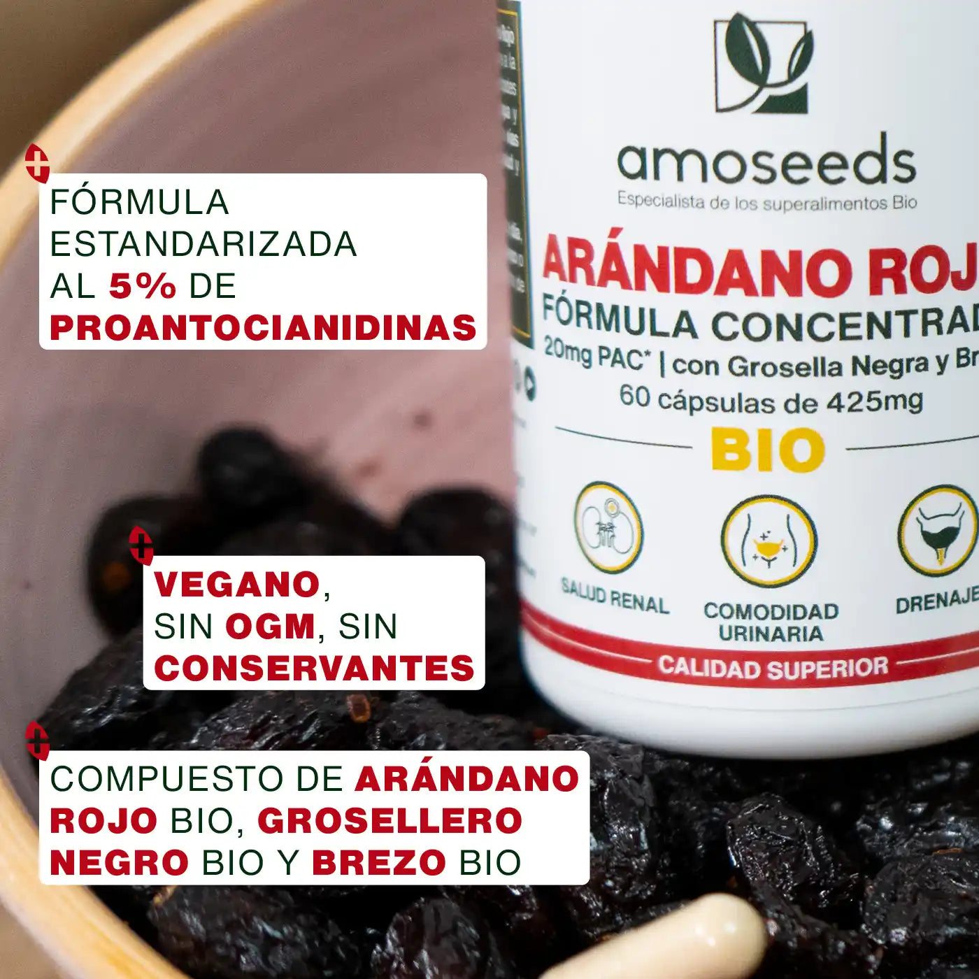 Arándano Rojo Bio, Fórmula Con Grosella Negra Y Brezo | 60 Cápsulas_2