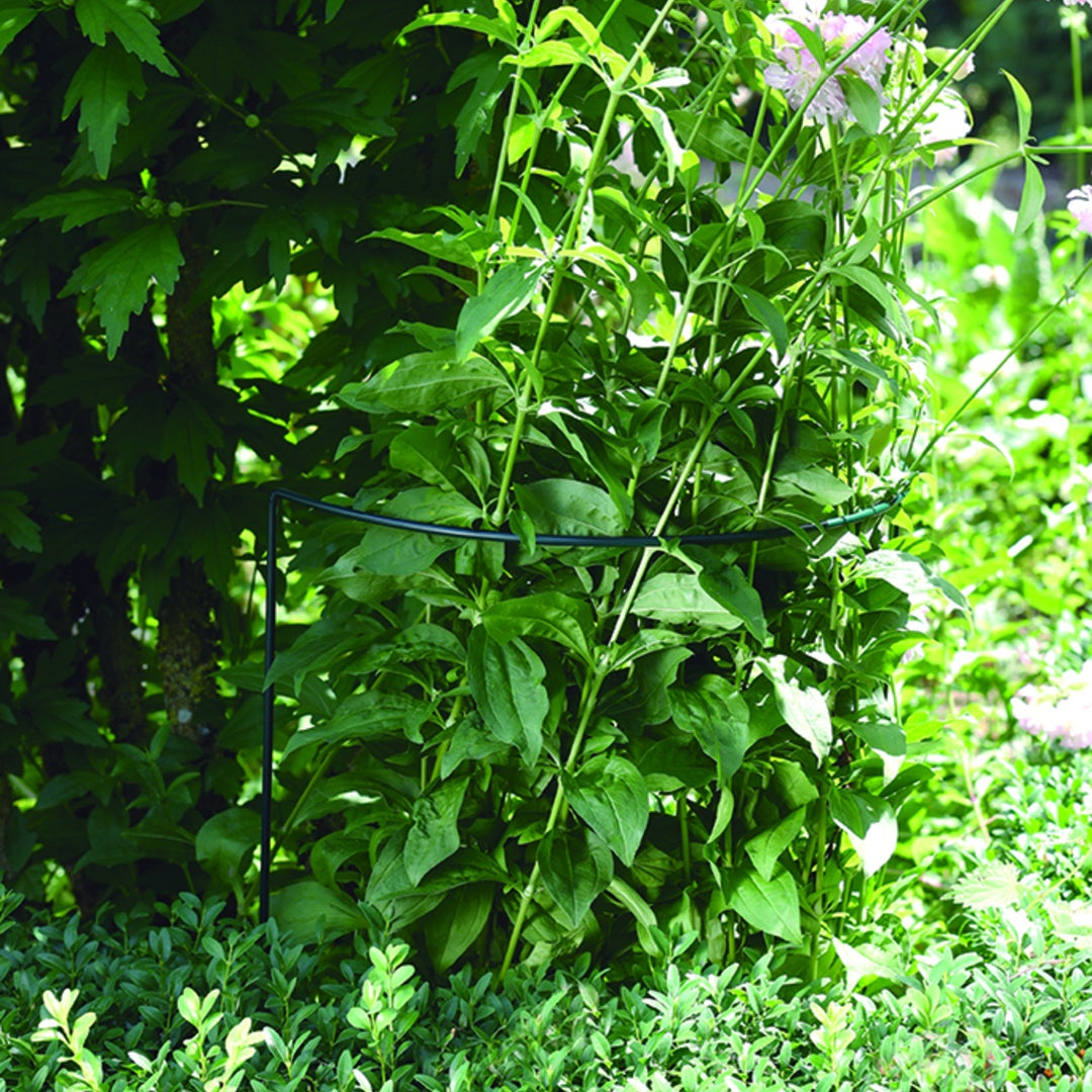 Tutor Soporte Chelsea 40x80 Cm Verde Nortene_1