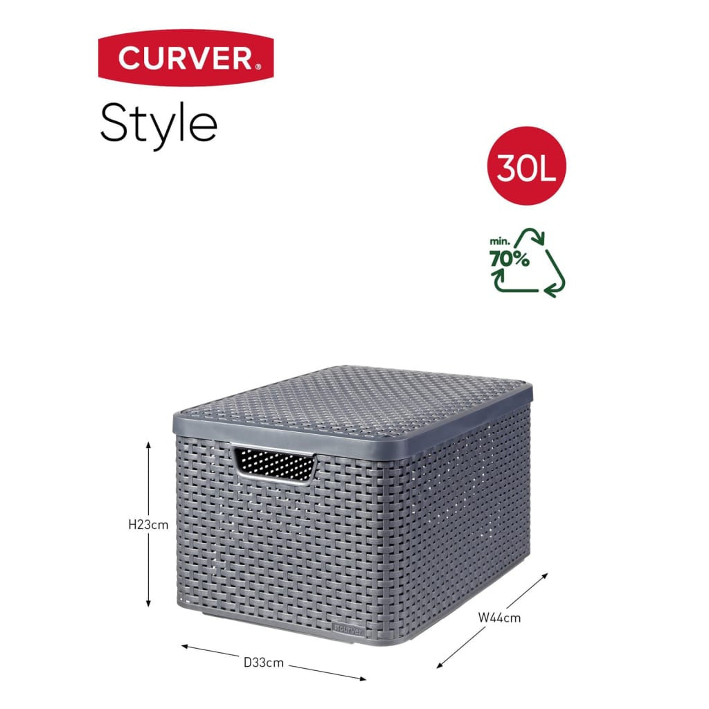 Curver Caja De Almacenamiento Con Tapa Style L Plata Metalizada 30 L_3