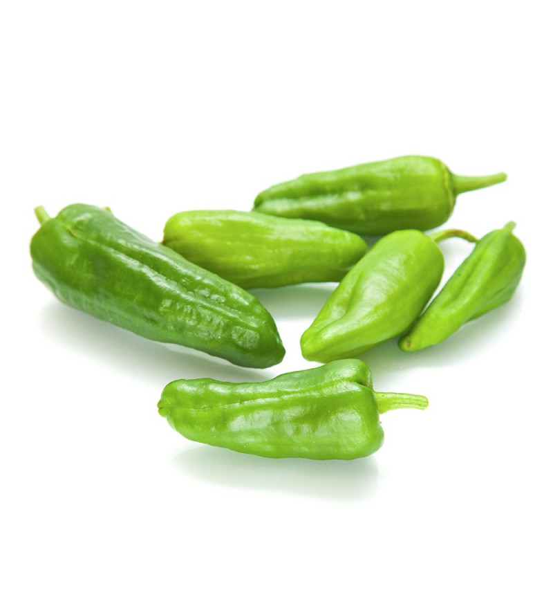 Pimiento Padrón. 1 KG_0