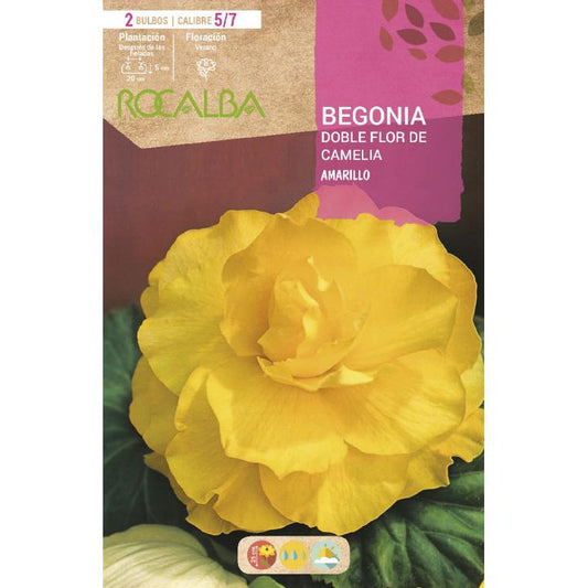 Bulbo Begonia doble flor de Camelia Amarillo 2 unidades (5/7)