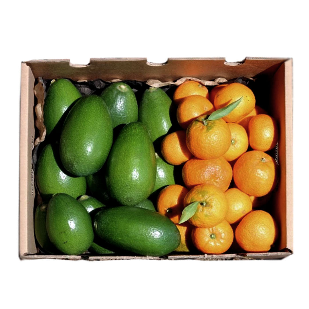 Caja 4kg Mix Aguacates De Piel Lisa Y Mandarinas | 2kg De Cada Fruta_0
