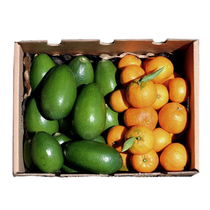 Caja 4kg Mix Aguacates De Piel Lisa Y Mandarinas | 2kg De Cada Fruta_0