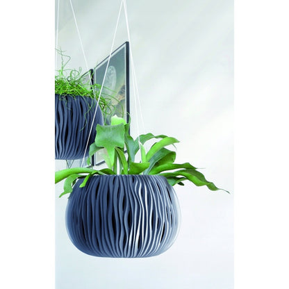 Prosperplast Bowl Sandy Ws De Plástico Con Depósito En Color Gris Piedra, 16,1 (alto) X 23,8 (ancho) X 23,8 (profundo) Cms_1