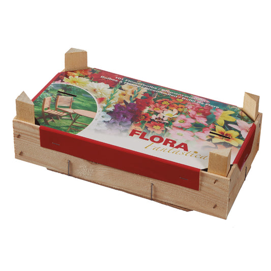 Caja Tray Mix Bulbos Primavera Elite 100 uds