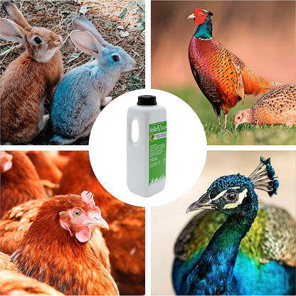 SoluVita 1L - Vitaminas para Gallinas, Conejos, Anátidas y Otras Aves - Apoyo nutricional en épocas de alta demanda_3