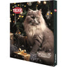 Calendario de Adviento para gatos Premio Trixie