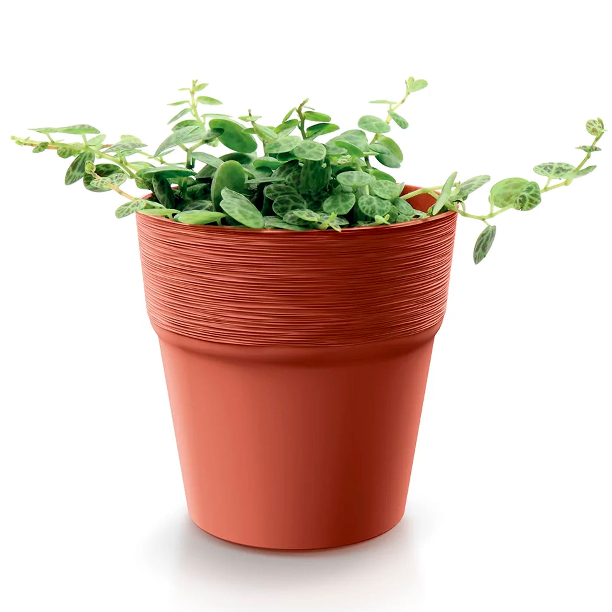 Maceta Furu , Dimensiones (mm) 147x147x148, Color Blanco_2