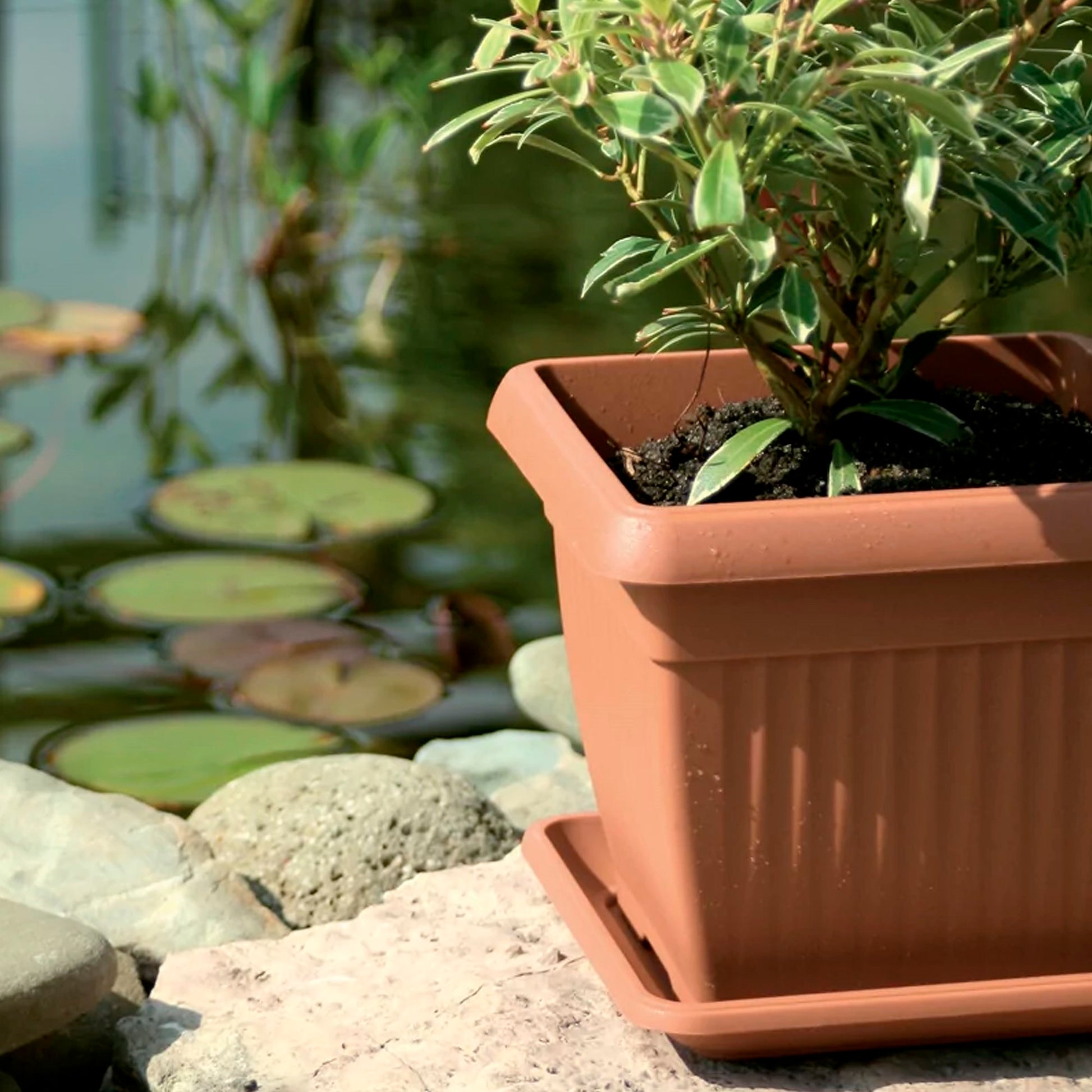 Maceta Terra 3,5l., Dimensiones (mm) 190x190x160, Color Terracota_5