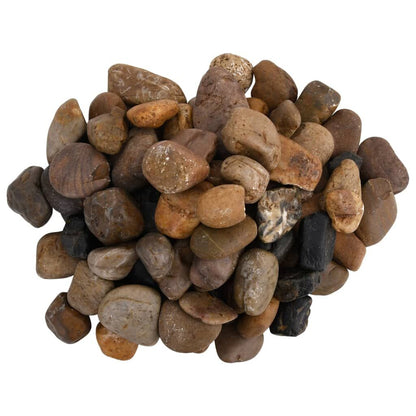 Vidaxl Guijarros Pulidos Colores Mezclados 10 Kg 2-5 Cm_2