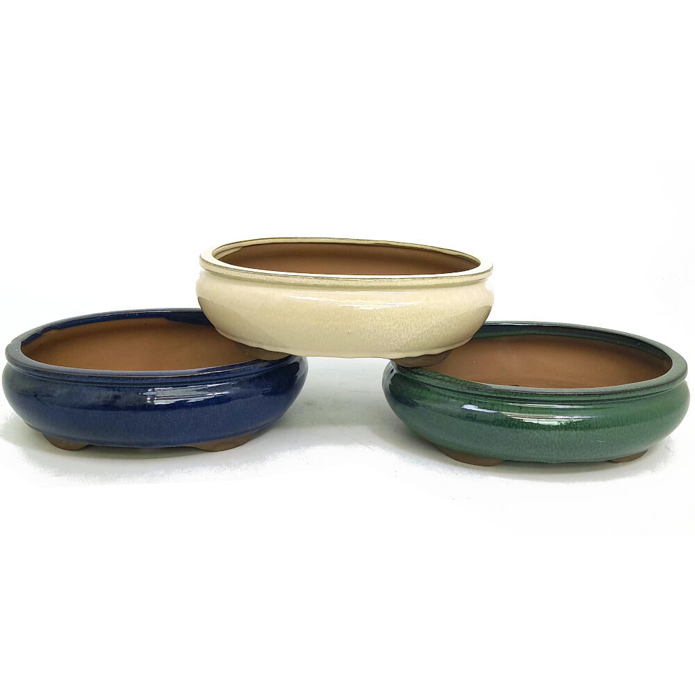 Tiesto Bonsai Oval 26cm Con Plato