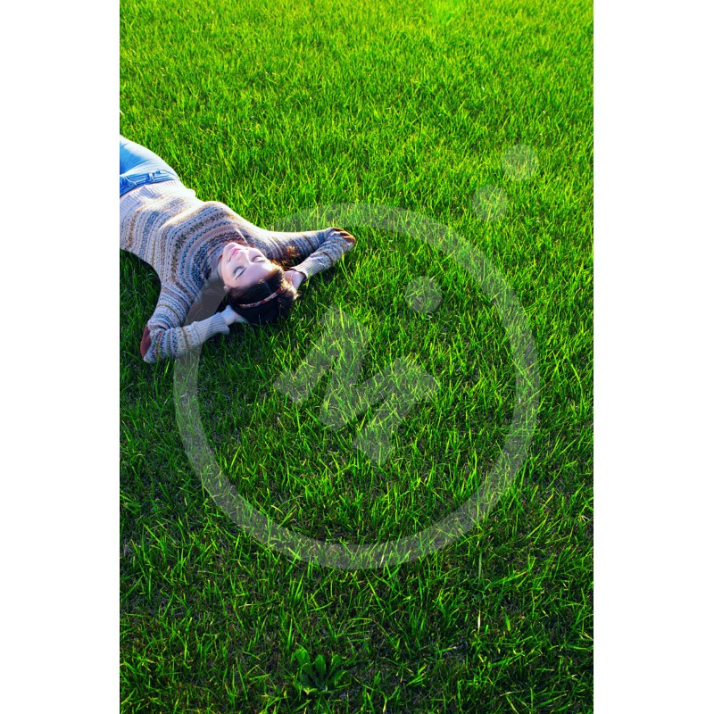 Césped Mezcla Standard