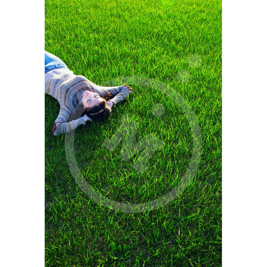 Césped Mezcla Standard