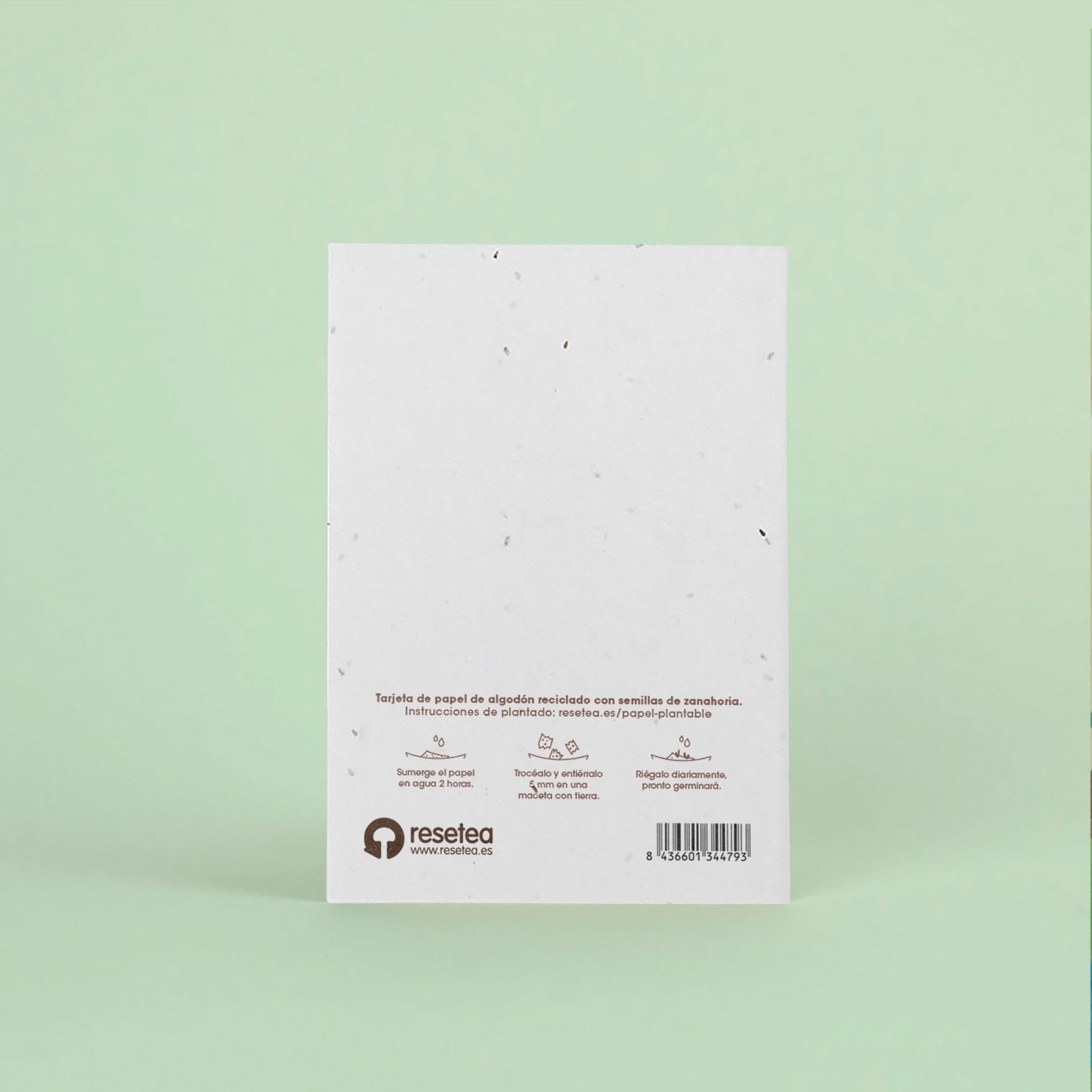 Postal Plantable Bienvenido Con Semillas De Zanahoria – Regalo Original Que Florece Para Recién Nacidos | Resetea_1