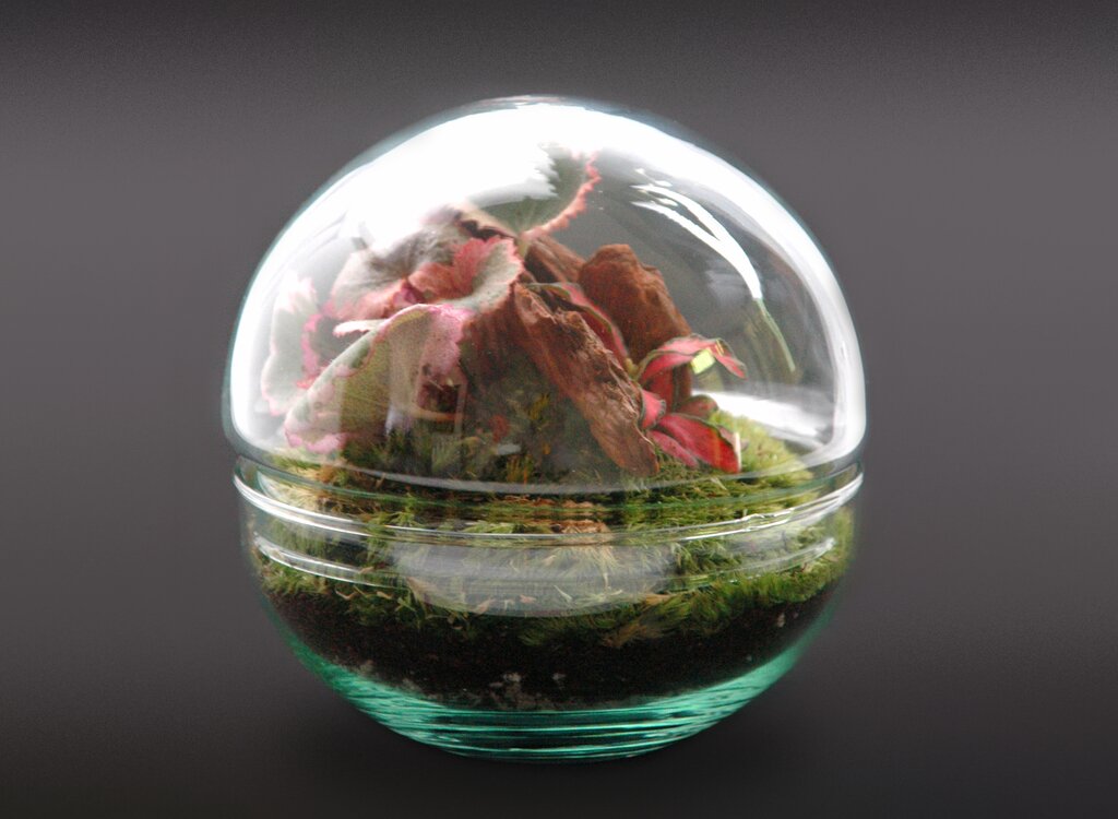 Nanogarden Terrario Ball Sax Fit 12x12 Cm_0