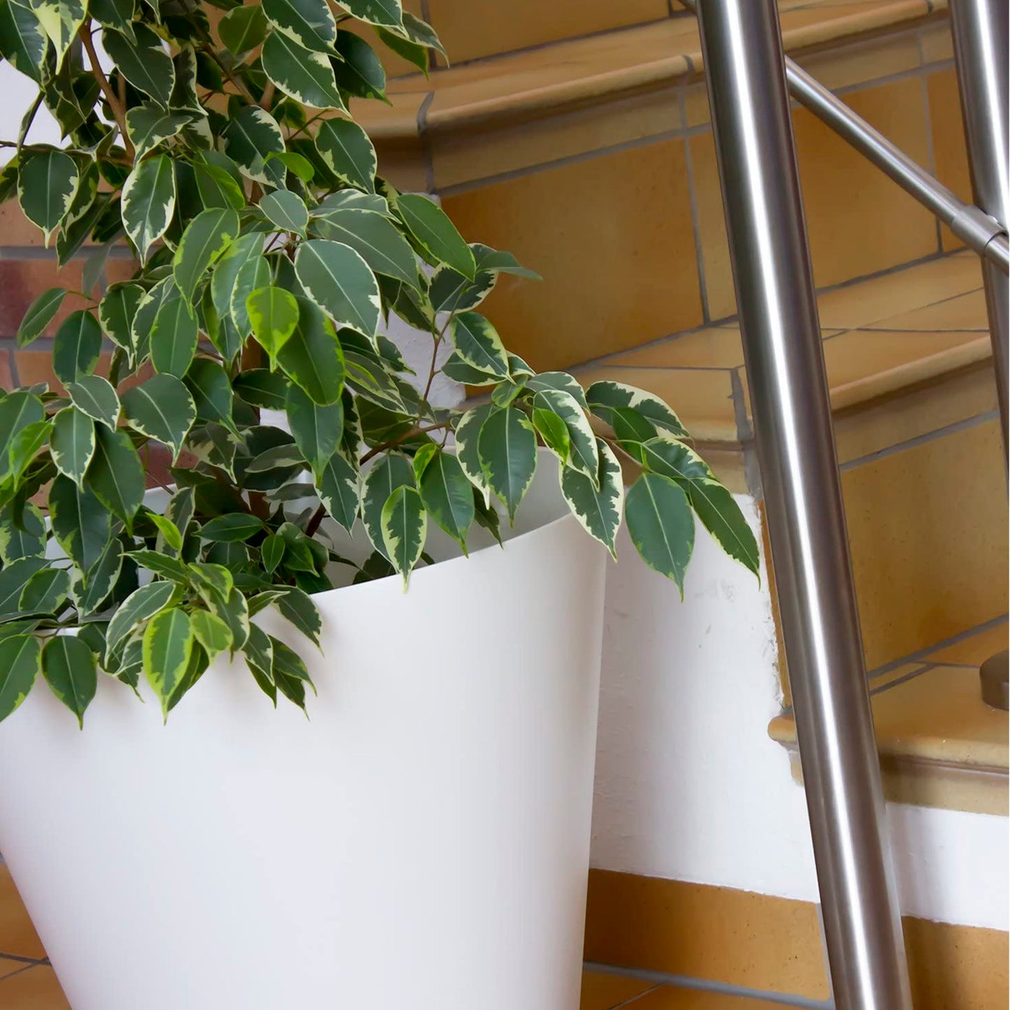 Maceta Tubus 3,5l., Dimensiones (mm) 200x200x187, Color Blanco_5