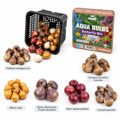 Aqua Bulbs Mezcla Para Mariposas - Especialmente Atractiva Para Mariposas_3