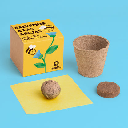 Salvemos A Las Abejas | Kit Cultivo Flores Melíferas Con Bomba De Semillas Para Polinizadores | Regalo Educativo_1