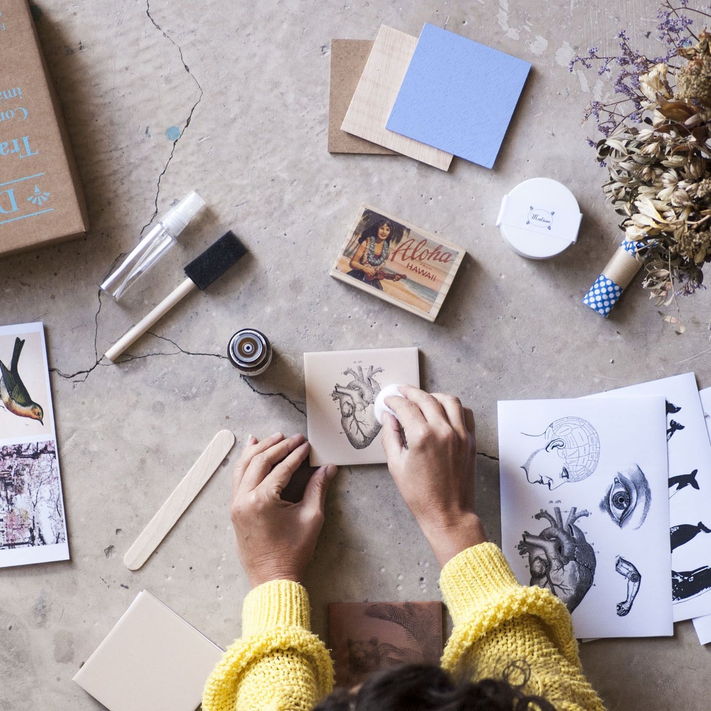 Kit de Transferencia de Imágenes