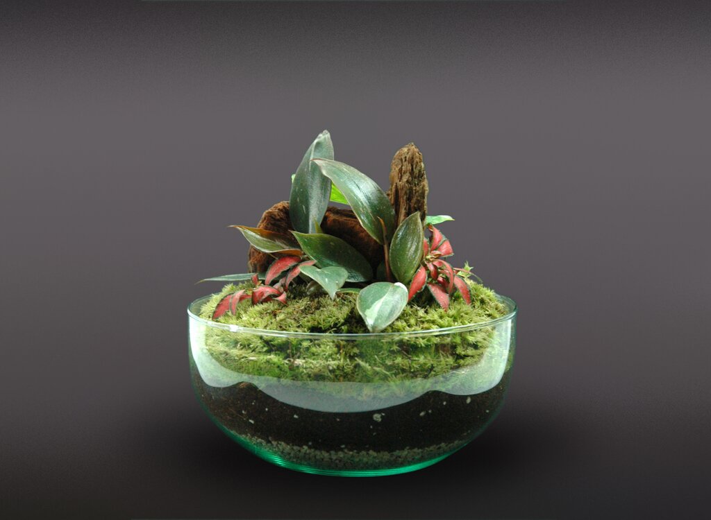 Nanogarden Terrario Ball Princess 20x20cm_2