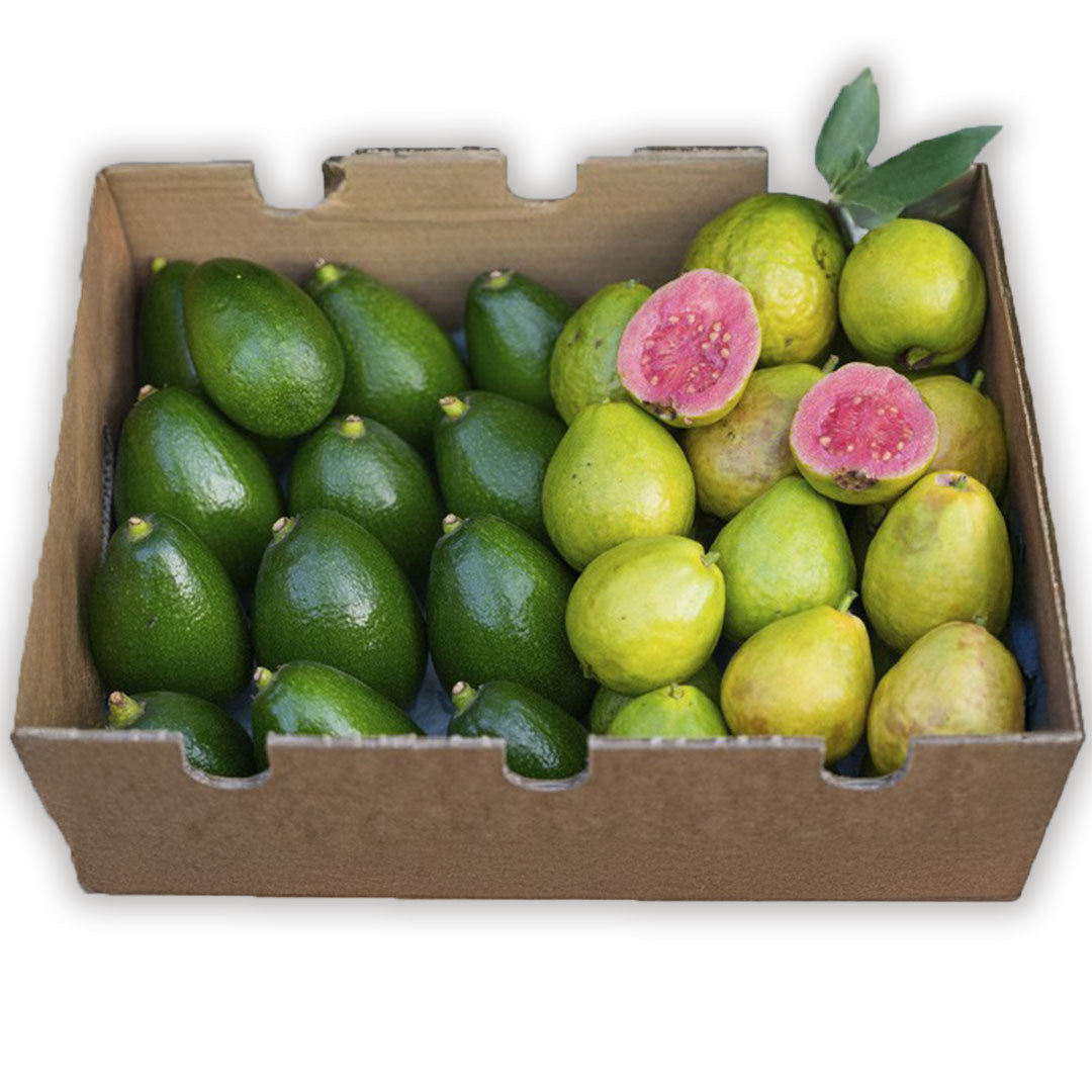 Caja 2kg Mix Aguacates De Piel Lisa Y Guayabas