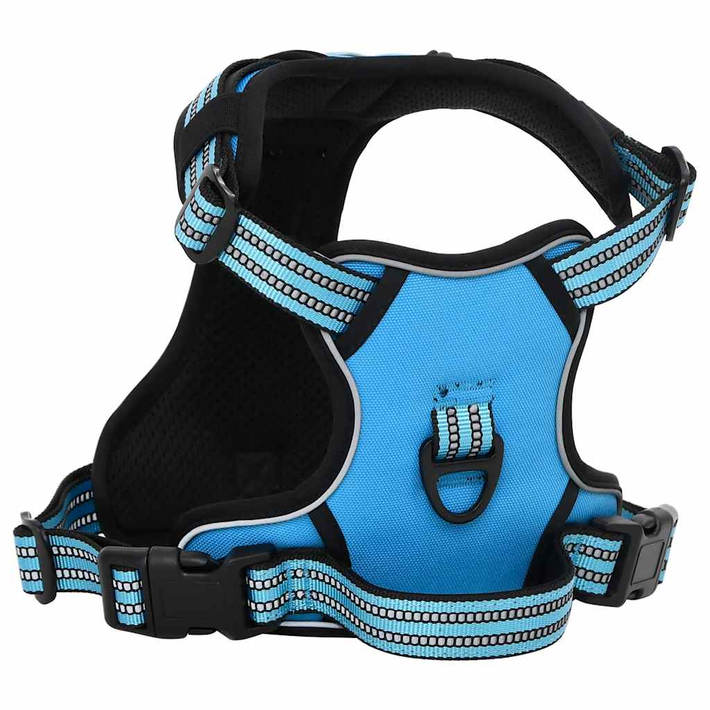 Arnés Para Perros Con Correa Y Collar Ajustable Azul L_2